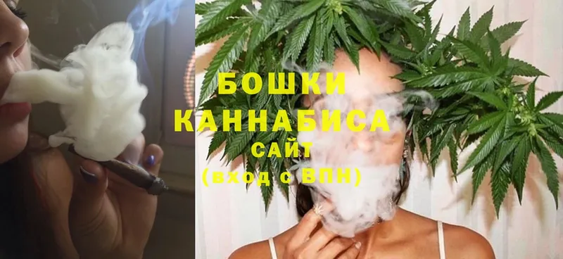 что такое   Калининец  Бошки Шишки семена 